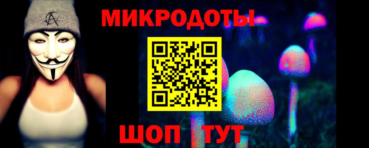 Новоуральск  Галлюциногенные грибы Psilocybe  Вход с VPN 